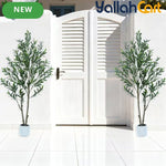 155cm Artificial Olive Tree with White Planter – Realistic Faux Olive Tree with 2 Trunks