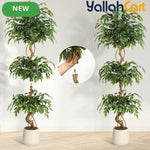 Zvezvia Artificial Ficus Tree – Realistic Faux Plant for Indoor & Outdoor Décor