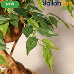 Zvezvia Artificial Ficus Tree – Realistic Faux Plant for Indoor & Outdoor Décor