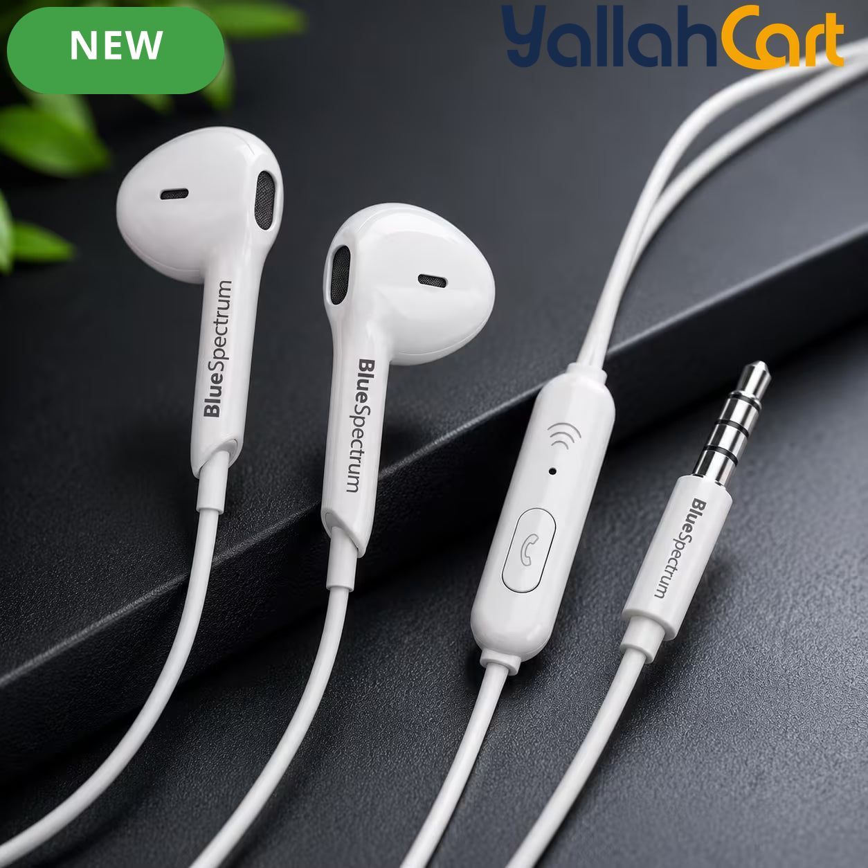 BlueSpectrum R12 Stereo Wired Earphones with Microphone