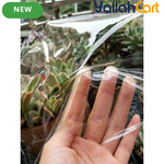 Large Waterproof Transparent Outdoor Umbrella