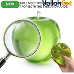 Green Real Touch Silicone Gel Apple Stress Ball – Slow-Rising Anxiety Relief & Aesthetic Desk Decor
